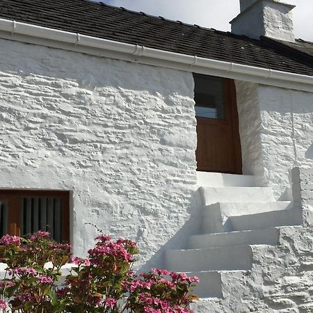 Little Barn Cottage Newport  Esterno foto
