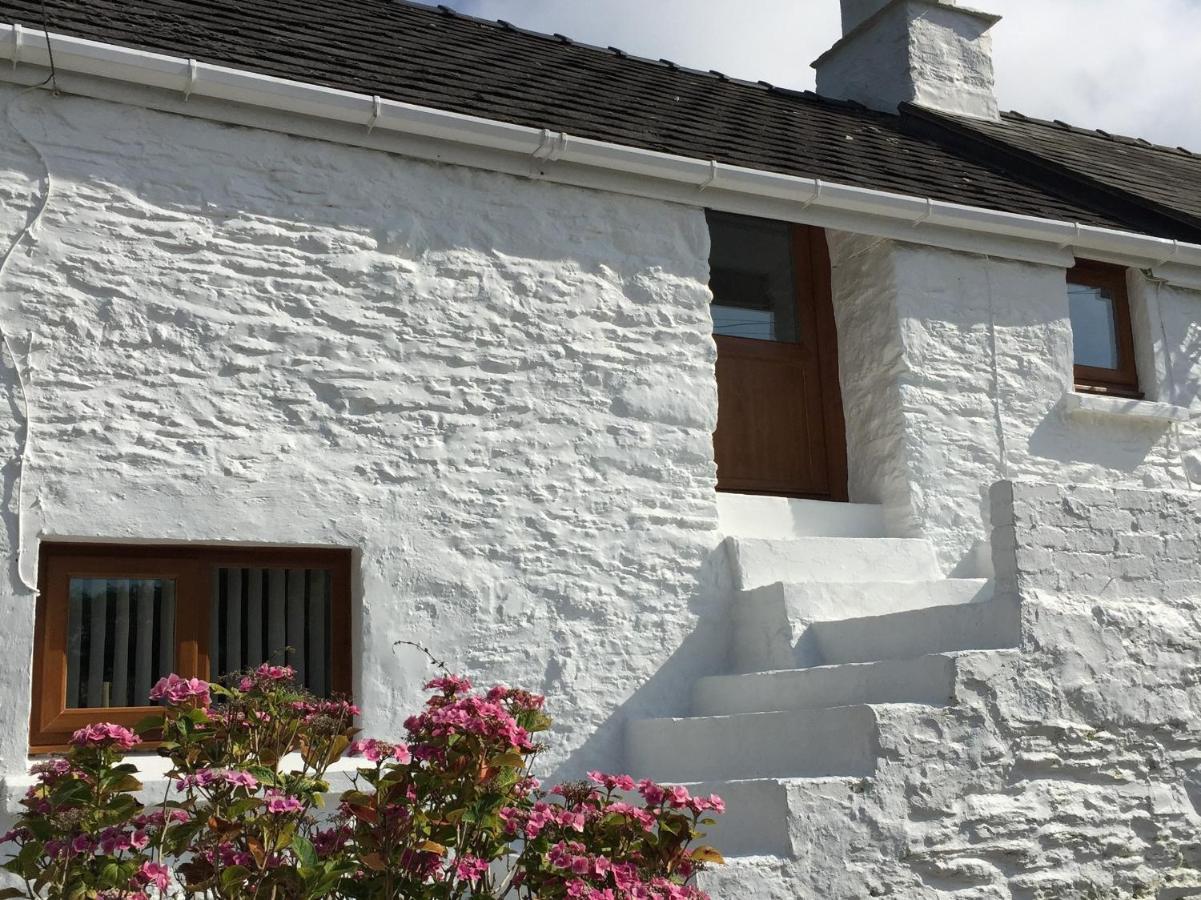 Little Barn Cottage Newport  Esterno foto